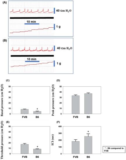 B6 Mouse Strain: The Best Fit for LPS-Induced Interstitial Cystitis Model