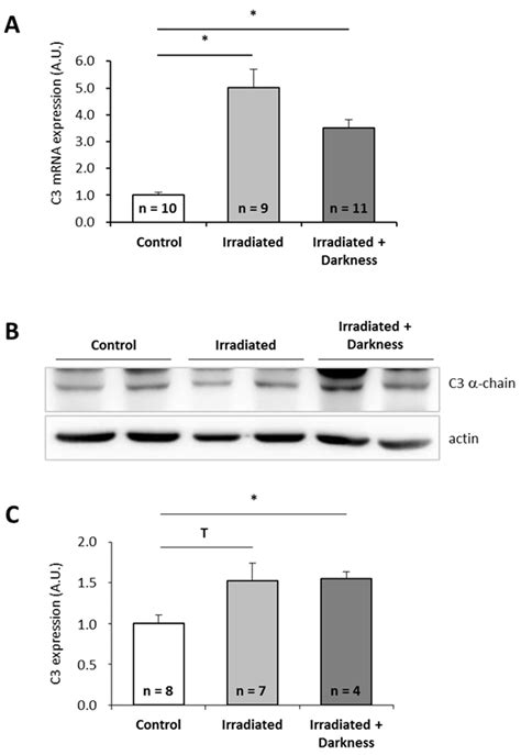 Modulation of Iberian Ribbed Newt Complement Component C3 by Stressors ...