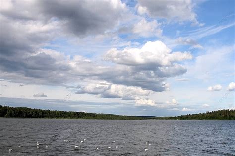 Environment Transparent Background 的图像结果