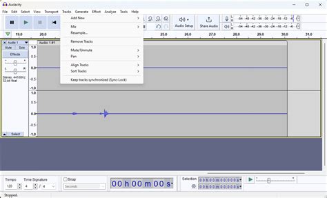 Using Audacity Software 的图像结果