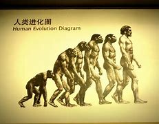 evolution 的图像结果