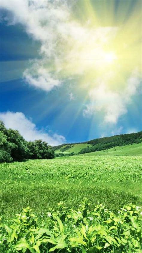 Top 7 Greenest Countries Around The World