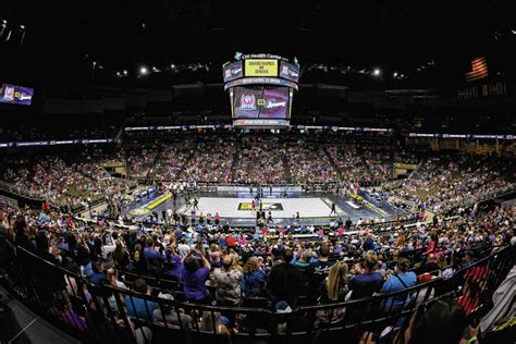 Indy Ignite pro volleyball team set to debut in January - Daily Journal