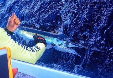 BOYNTON BEACH FISHING CHARTER - All You Need to Know BEFORE You Go 2026 ...