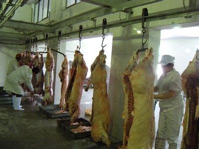 工程安装 / 屠宰项目 - 嘉兴市威尔肉类技术工程有限公司