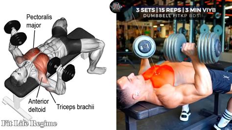 Workout Routine to Build Muscle 的图像结果