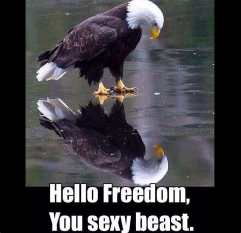 Image result for Prepper Meme