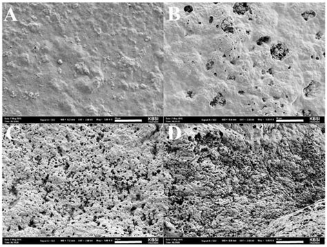 Effects of Container Design on the Temperature and Moisture Content ...