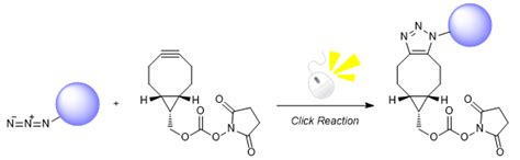 Bioconjugation Reagents | Tokyo Chemical Industry (India) Pvt. Ltd.