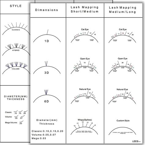 Amazon.com: LEES A.M. 1 PC Lash Mapping Chart Eyelash Extension ...