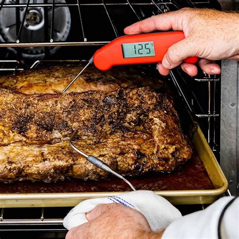 Best Meat Thermometer Of All Time at William Wooden blog