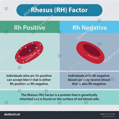 Image result for Rh Negative Targeted