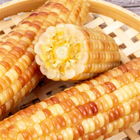 西双版纳小花糯玉米 玉米的营养价值，西双版纳小花糯玉米 玉米营养 - 食物库