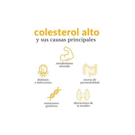 Colesterol Alto Colesterol Alto: Síntomas Y Tratamiento Bupa Latam