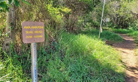 Hiking Awa'awapuhi Trail in Kaua'i, Hawaii - HappyWanders