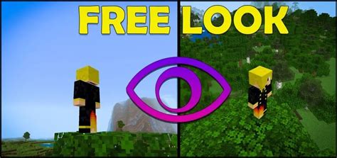 Image result for Free Look Minecraft Java