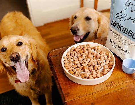 Meet UnKibble™: Fresh Dry Dog Food Without Refrigeration | Spot & Tango