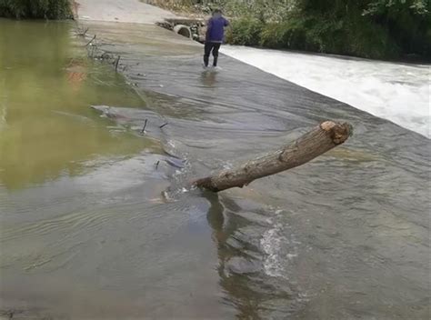 吉林洮南村民搭浮桥收费被判寻衅滋事，当地村民称过河陷通行之困_手机新浪网