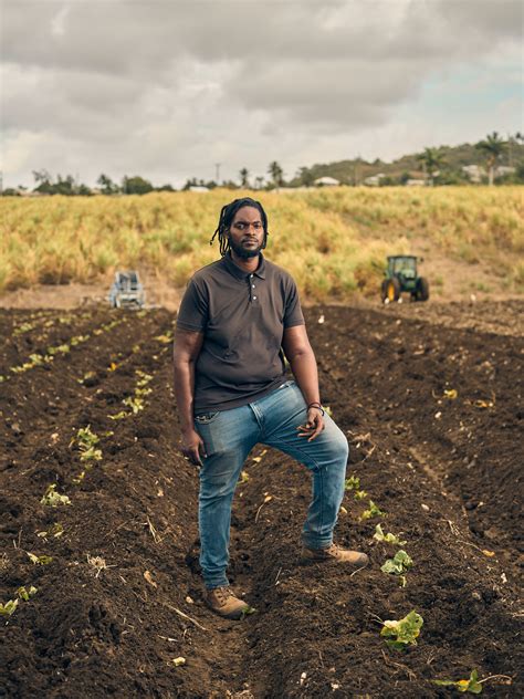 Agriculture In Barbados