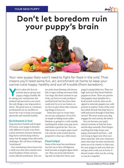 Kalamazoo Animal Hospital - Veterinarian in Kalamazoo, MI US