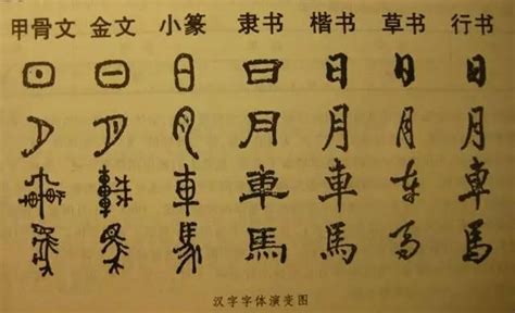 涨知识：传统文化知多少，汉字总共有多少个，常用的又有多少个 - 每日头条
