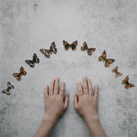 Download wallpaper 2780x2780 hands, butterflies, background, minimalism ...