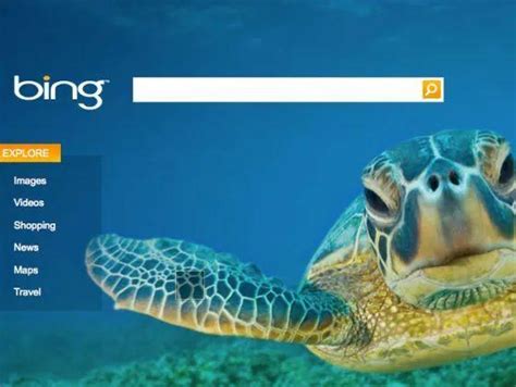 必应网 的图像结果