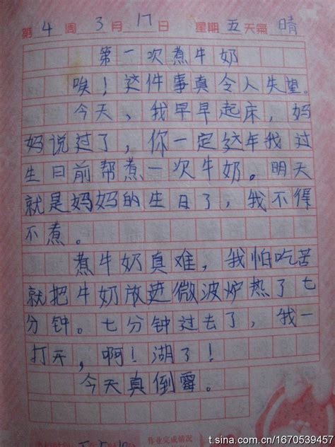 第一篇日记100字作文-海达范文网