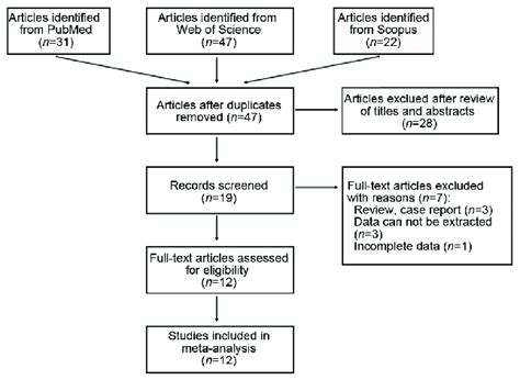 Meta-Analysis Definition 的图像结果