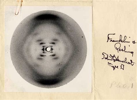 Remembering Rosalind Franklin, the unsung hero whose research helped ...