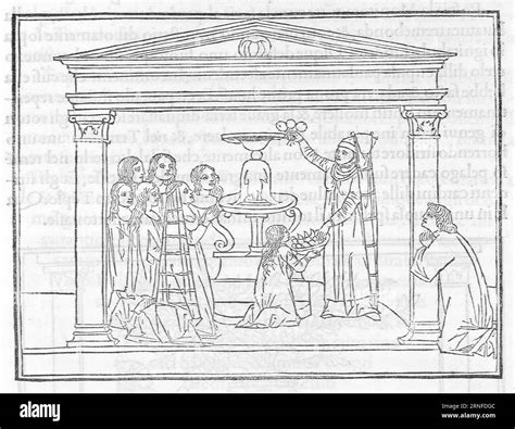 Poliphili