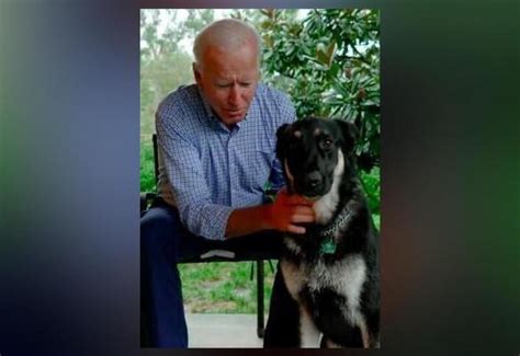 Biden's German Shepherd to become first rescue dog in White House