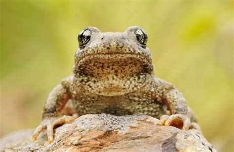 So sieht der Velotunnel unter dem Zürcher Hauptbahnhof aus | Switzerland