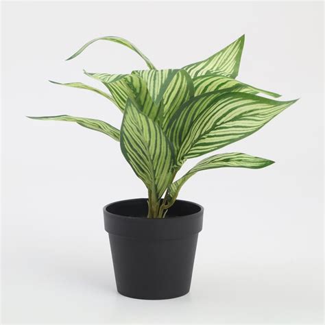 Buy Garnet Garden Artificial Croton Plant in Pot from Home Centre at ...