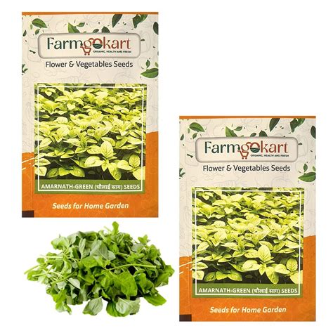 Farmgokart |2 Packets of AMARNATH / CHAULAI / KEERAI (GREEN) SEEDS ...