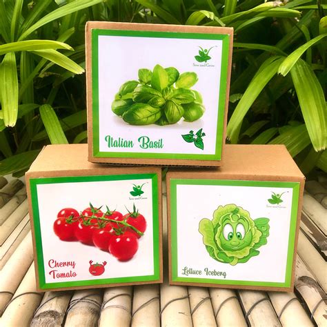 DIY Gardening 3 Exotic Seed Starter Kits | Cherry Tomato + Italian Bas ...
