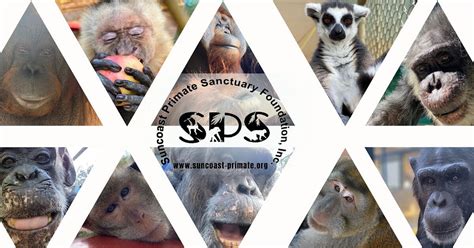 SUNCOAST PRIMATE SANCTUARY (2026) All You Need to Know BEFORE You Go ...