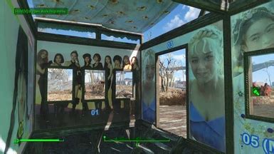 Image result for Fallout 4 Borderless Window