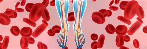 Image result for Leg Circulation Problems Symptoms