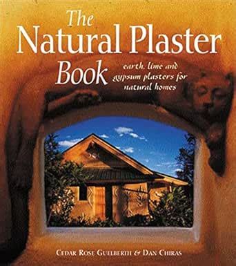 The Natural Plaster Book: Earth, Lime and Gypsum Plasters for Natural ...