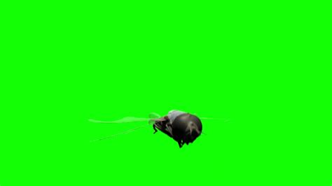 Image result for Greenscreen Flying