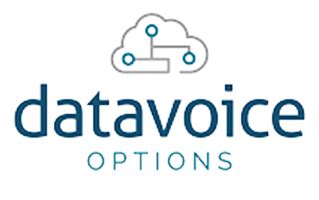 Data Voice 的图像结果