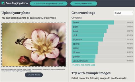 Image result for tagging