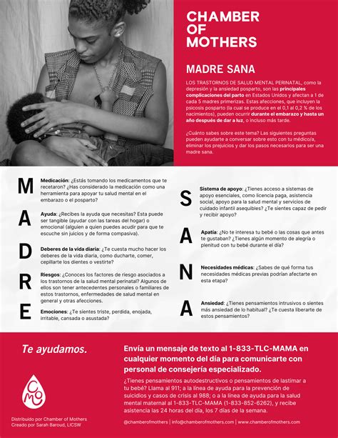 Downloadable HEAL MAMAS Maternal Health Advocacy Tool in English and ...