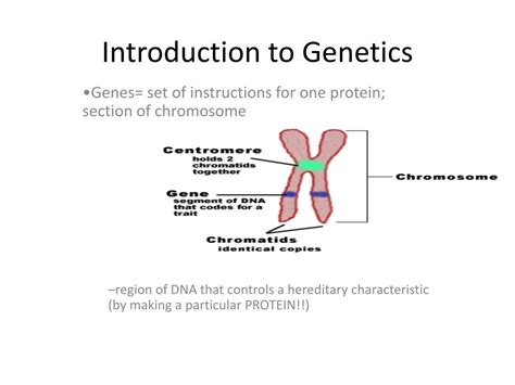 Genetics Introduction 的图像结果