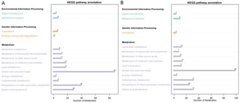 Metabolites | An Open Access Journal from MDPI