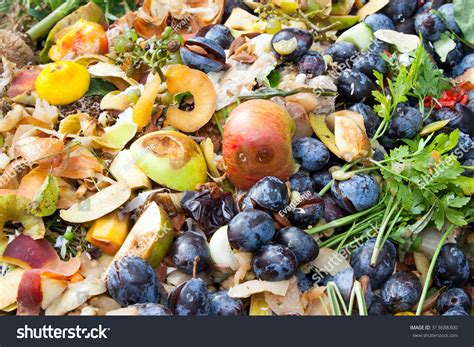 47,299 Biodegradable Waste Images, Stock Photos & Vectors | Shutterstock