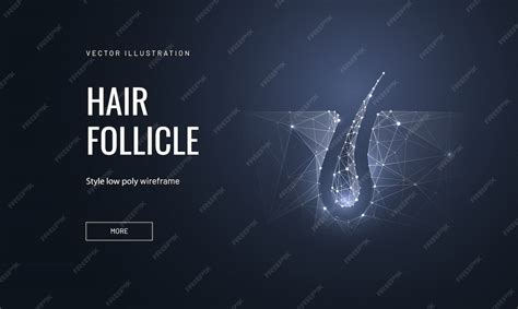Hair follicle in polygonal wireframe style | Premium Vector