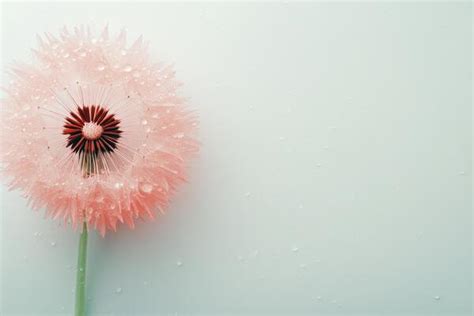 Archive Background Background Background Background Background Background Background Minimalist
