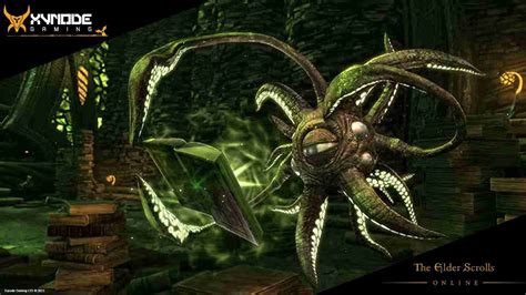 A Sneak Peek At The New Armor Sets for Necrom & Update 38 - Xynode Gaming